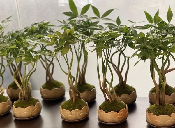 耀世娱乐|微电子|芯片 耀世娱乐|微电子|芯片
