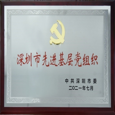百年华诞，喜获殊荣——耀世娱乐电子党总支荣获“深圳市先进基层党组织”称号
