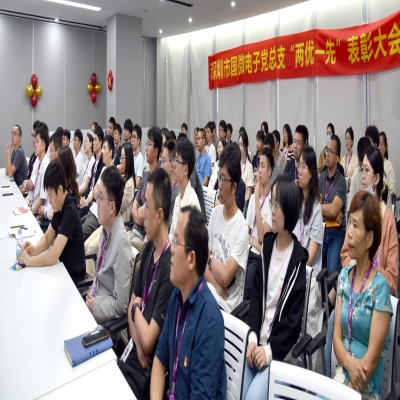 同“芯”向党，榜样领航——耀世娱乐电子党总支“两优一先”表彰大会