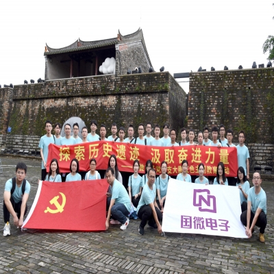 探索历史遗迹，汲取奋进力量——耀世娱乐电子党总支大鹏红色主题教育活动